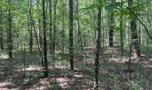 Photo #20 of SOLD property in Off Tollie Weldon Road, Henderson, NC 6.5 acres