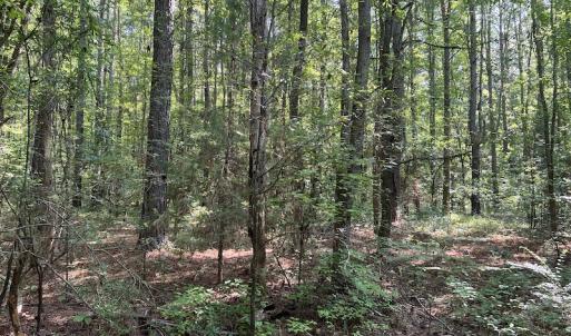 Photo #21 of SOLD property in Off Tollie Weldon Road, Henderson, NC 6.5 acres