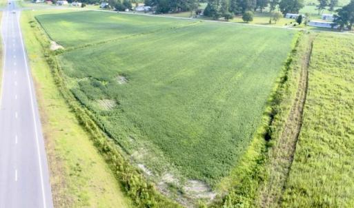 Photo #4 of SOLD property in Off Alexander Brown Road, Bethel, NC 12.8 acres
