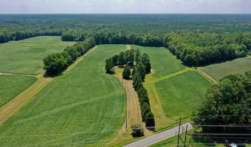 Photo #2 of SOLD property in Off Jackson Bypass, Garysburg, NC 49.9 acres