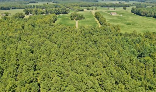 Photo #12 of SOLD property in Off Jackson Bypass, Garysburg, NC 49.9 acres