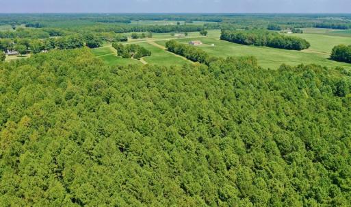 Photo #14 of SOLD property in Off Jackson Bypass, Garysburg, NC 49.9 acres