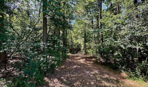 Photo #15 of SOLD property in Off Jackson Bypass, Garysburg, NC 49.9 acres