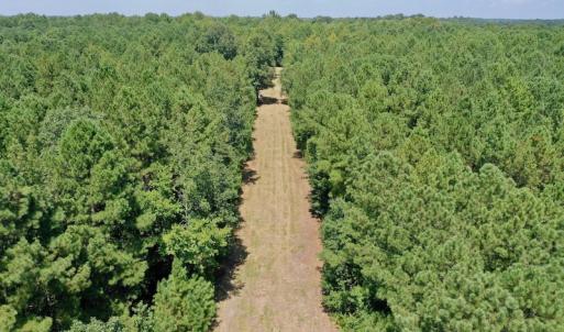 Photo #16 of SOLD property in Off Jackson Bypass, Garysburg, NC 49.9 acres