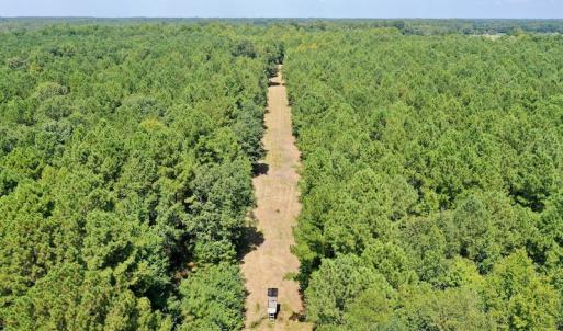Photo #18 of SOLD property in Off Jackson Bypass, Garysburg, NC 49.9 acres