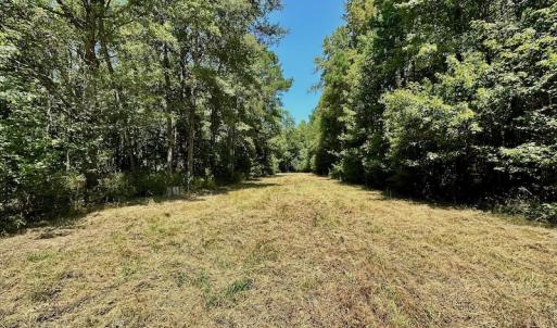 Photo #19 of SOLD property in Off Jackson Bypass, Garysburg, NC 49.9 acres
