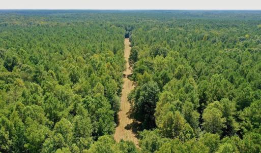 Photo #20 of SOLD property in Off Jackson Bypass, Garysburg, NC 49.9 acres