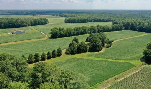 Photo #3 of SOLD property in Off Jackson Bypass, Garysburg, NC 49.9 acres