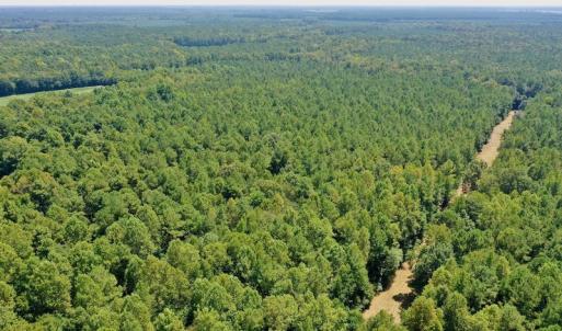 Photo #22 of SOLD property in Off Jackson Bypass, Garysburg, NC 49.9 acres