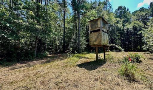 Photo #23 of SOLD property in Off Jackson Bypass, Garysburg, NC 49.9 acres