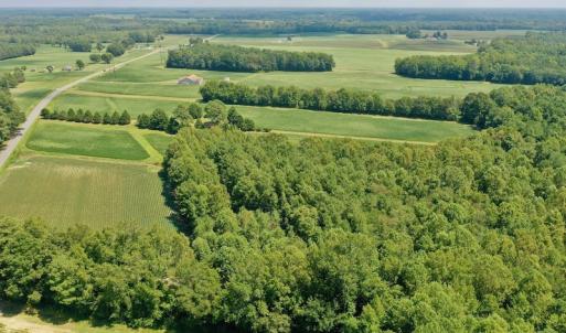 Photo #24 of SOLD property in Off Jackson Bypass, Garysburg, NC 49.9 acres