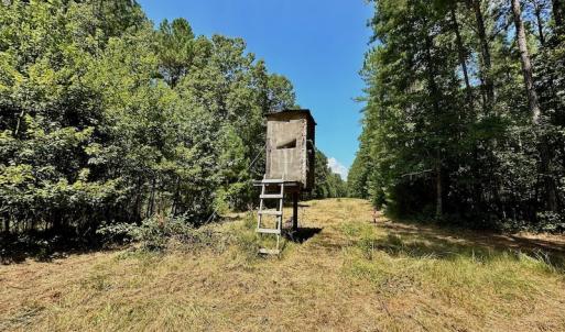 Photo #25 of SOLD property in Off Jackson Bypass, Garysburg, NC 49.9 acres