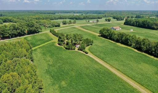 Photo #26 of SOLD property in Off Jackson Bypass, Garysburg, NC 49.9 acres