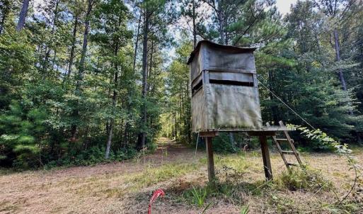 Photo #27 of SOLD property in Off Jackson Bypass, Garysburg, NC 49.9 acres