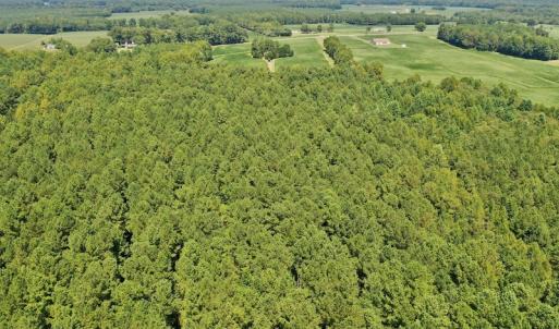 Photo #28 of SOLD property in Off Jackson Bypass, Garysburg, NC 49.9 acres
