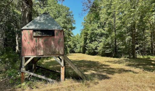 Photo #29 of SOLD property in Off Jackson Bypass, Garysburg, NC 49.9 acres