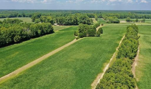 Photo #30 of SOLD property in Off Jackson Bypass, Garysburg, NC 49.9 acres