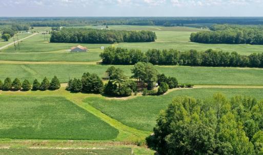 Photo #4 of SOLD property in Off Jackson Bypass, Garysburg, NC 49.9 acres