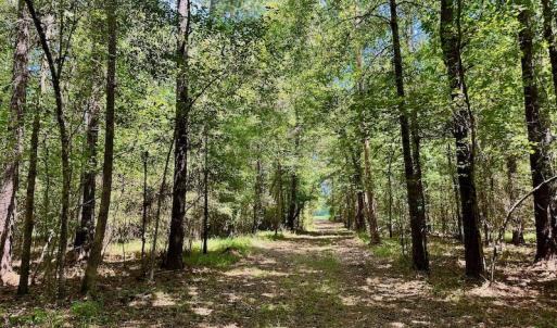 Photo #32 of SOLD property in Off Jackson Bypass, Garysburg, NC 49.9 acres