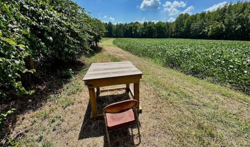 Photo #33 of SOLD property in Off Jackson Bypass, Garysburg, NC 49.9 acres