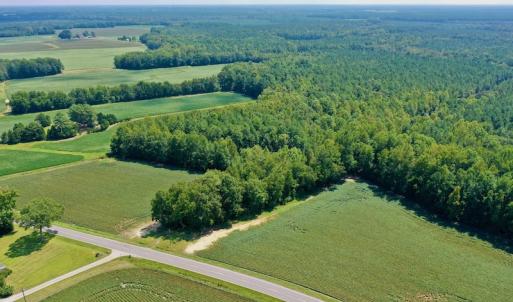 Photo #36 of SOLD property in Off Jackson Bypass, Garysburg, NC 49.9 acres