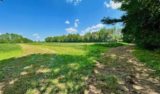 Photo #5 of SOLD property in Off Jackson Bypass, Garysburg, NC 49.9 acres