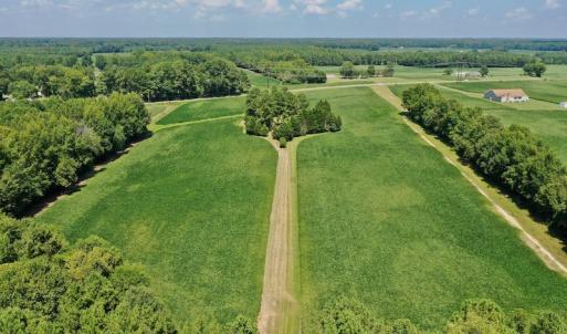 Photo #6 of SOLD property in Off Jackson Bypass, Garysburg, NC 49.9 acres