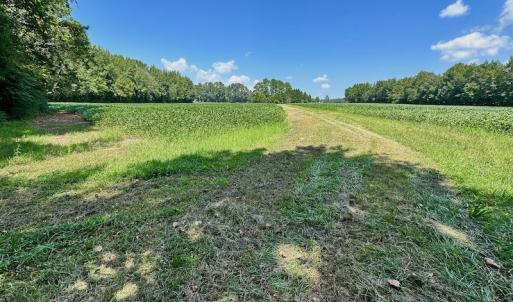 Photo #7 of SOLD property in Off Jackson Bypass, Garysburg, NC 49.9 acres