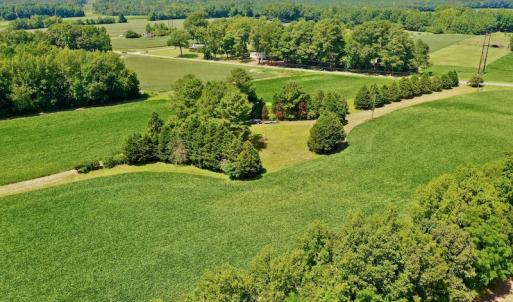 Photo #8 of SOLD property in Off Jackson Bypass, Garysburg, NC 49.9 acres