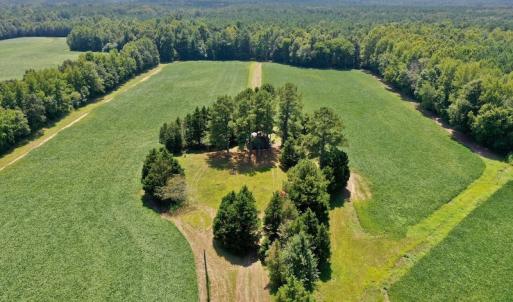 Photo #10 of SOLD property in Off Jackson Bypass, Garysburg, NC 49.9 acres
