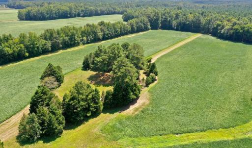 Photo #40 of SOLD property in Off Jackson Bypass, Garysburg, NC 49.9 acres
