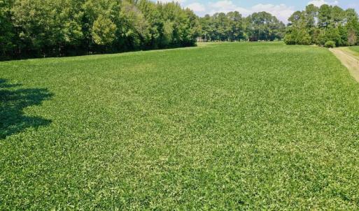 Photo #42 of SOLD property in Off Jackson Bypass, Garysburg, NC 49.9 acres