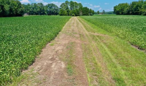 Photo #43 of SOLD property in Off Jackson Bypass, Garysburg, NC 49.9 acres