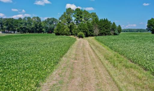 Photo #44 of SOLD property in Off Jackson Bypass, Garysburg, NC 49.9 acres