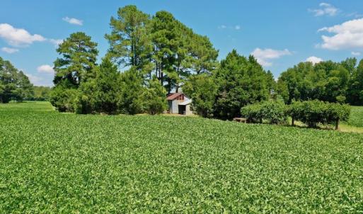 Photo #45 of SOLD property in Off Jackson Bypass, Garysburg, NC 49.9 acres
