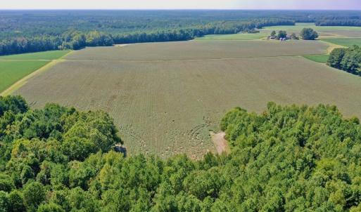 Photo #2 of SOLD property in Off Hargrave Rd, Jackson, NC 41.0 acres