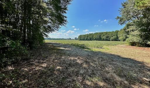 Photo #13 of SOLD property in Off Hargrave Rd, Jackson, NC 41.0 acres