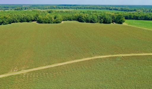 Photo #14 of SOLD property in Off Hargrave Rd, Jackson, NC 41.0 acres