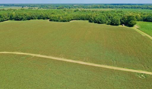 Photo #16 of SOLD property in Off Hargrave Rd, Jackson, NC 41.0 acres