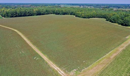 Photo #18 of SOLD property in Off Hargrave Rd, Jackson, NC 41.0 acres
