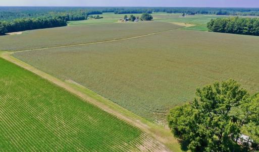 Photo #20 of SOLD property in Off Hargrave Rd, Jackson, NC 41.0 acres