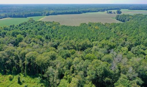 Photo #22 of SOLD property in Off Hargrave Rd, Jackson, NC 41.0 acres