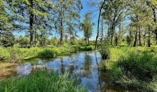 Photo #23 of SOLD property in Off Hargrave Rd, Jackson, NC 41.0 acres