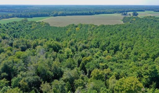 Photo #24 of SOLD property in Off Hargrave Rd, Jackson, NC 41.0 acres