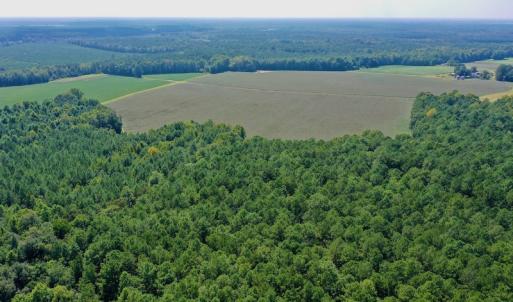 Photo #26 of SOLD property in Off Hargrave Rd, Jackson, NC 41.0 acres