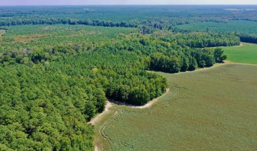 Photo #28 of SOLD property in Off Hargrave Rd, Jackson, NC 41.0 acres