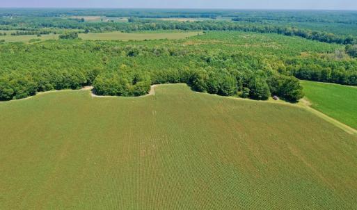 Photo #30 of SOLD property in Off Hargrave Rd, Jackson, NC 41.0 acres