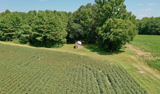 Photo #34 of SOLD property in Off Hargrave Rd, Jackson, NC 41.0 acres