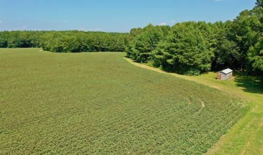 Photo #36 of SOLD property in Off Hargrave Rd, Jackson, NC 41.0 acres