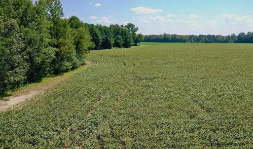 Photo #38 of SOLD property in Off Hargrave Rd, Jackson, NC 41.0 acres